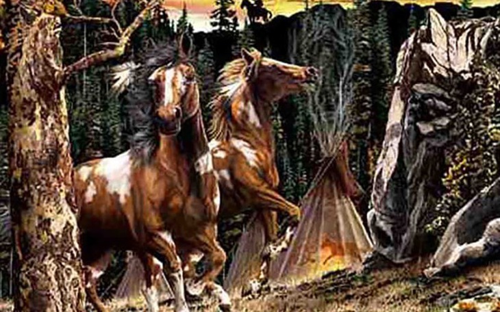 Mắt 10/10 mới thấy con mèo trong 5 giây - Ảnh 7.