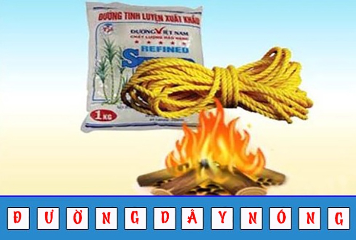 đuổi hình bắt chữ - Ảnh 4.