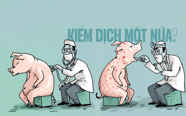 Thầy bói xem heo: Bệnh hay không bệnh? - Ảnh 2.