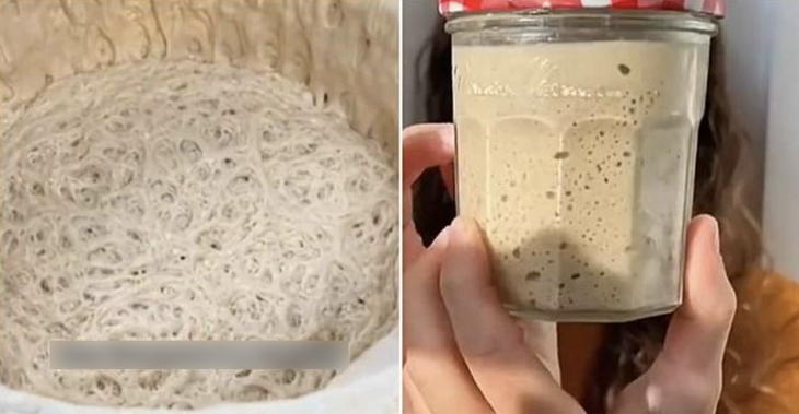 thú cưng - Ảnh 1.