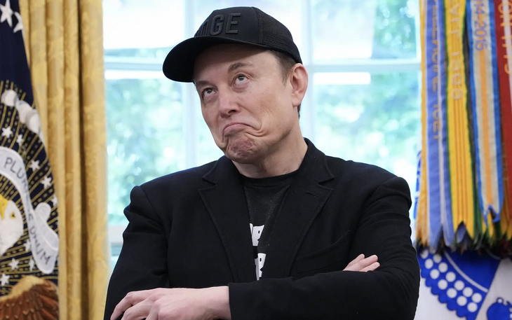 Ảnh vui 8-6: Mèo kiểu 'sao lấy hình tui để minh họa?' - Ảnh 8.