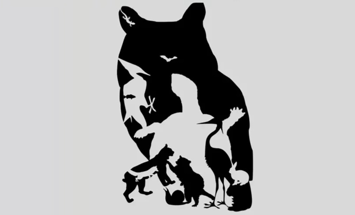 ẩn giấu - Ảnh 1.