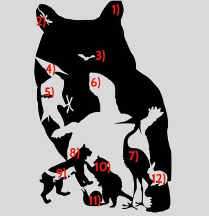 ẩn giấu - Ảnh 2.