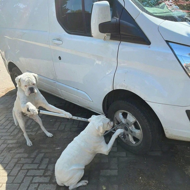 minh họa - Ảnh 4.