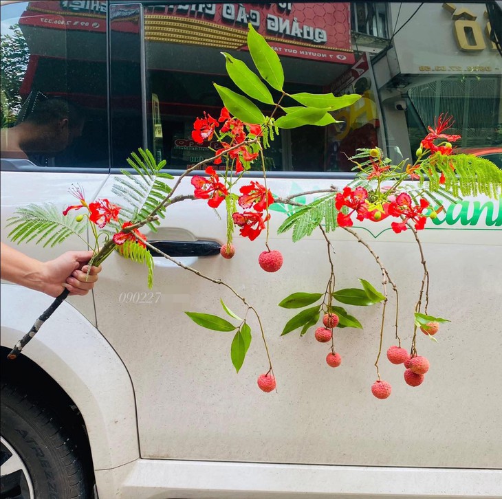 minh họa - Ảnh 5.