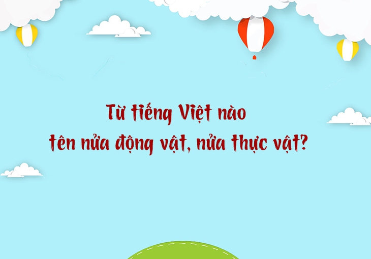 câu đố - Ảnh 3.