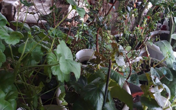 Thử tài tinh mắt: Bạn có thấy khuôn mặt ẩn giấu trong hình? - Ảnh 9.