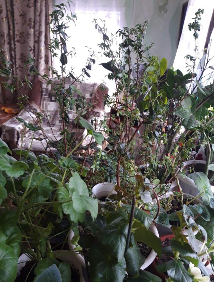 Thử tài tinh mắt - Ảnh 1.