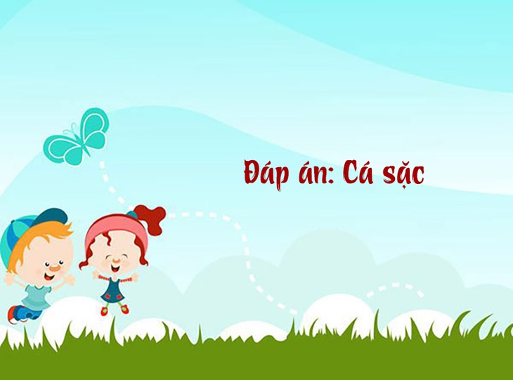 câu đố - Ảnh 2.