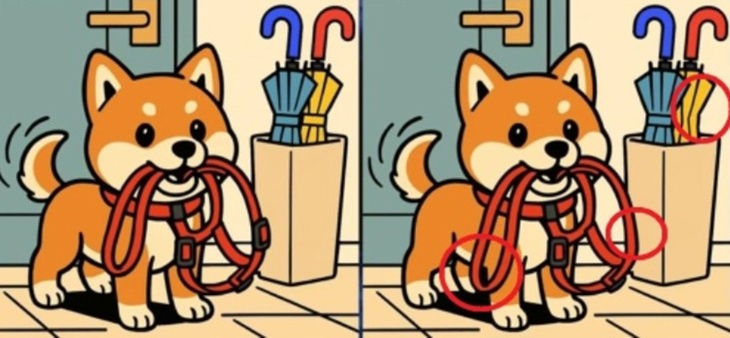 Thử tài tinh mắt - Ảnh 6.