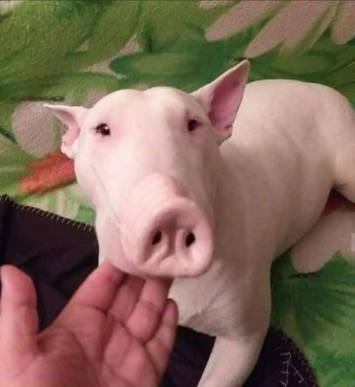 điện thoại - Ảnh 3.