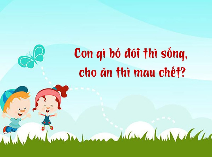 câu đố - Ảnh 1.