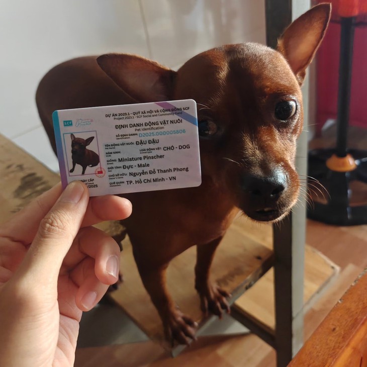 mỏ hỗn - Ảnh 6.