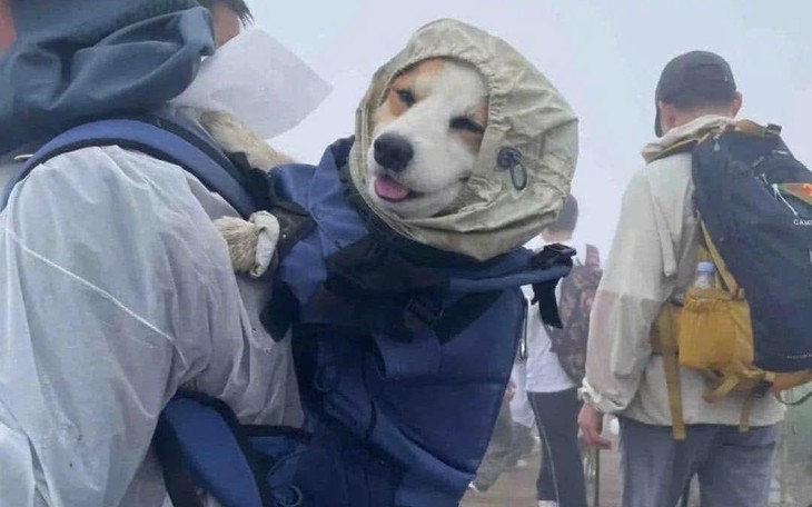 Ngoài Tiến "Bịp", các giang hồ mạng khác đang ở đâu? - Ảnh 6.