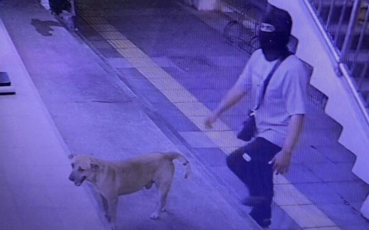 Bị đuổi việc vì... hôi nách - Ảnh 3.