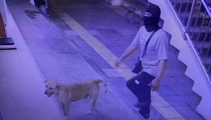 thanh niên - Ảnh 1.