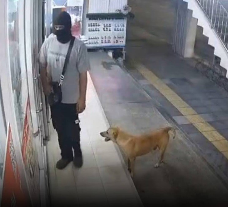 thanh niên - Ảnh 2.