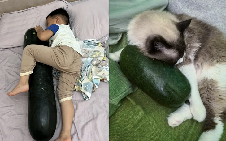 Ảnh vui 13-7: Tiếp nhận sinh viên mà mặt này hơi quạu nha! - Ảnh 9.