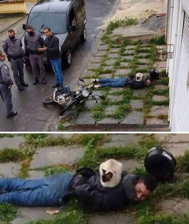 tiếng Anh - Ảnh 6.