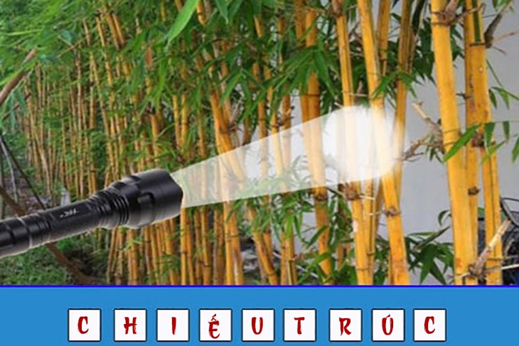 đuổi hình bắt chữ - Ảnh 4.