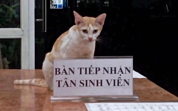 Nhà hàng 'bỏng mắt' nhất Bangkok đóng cửa - Ảnh 6.