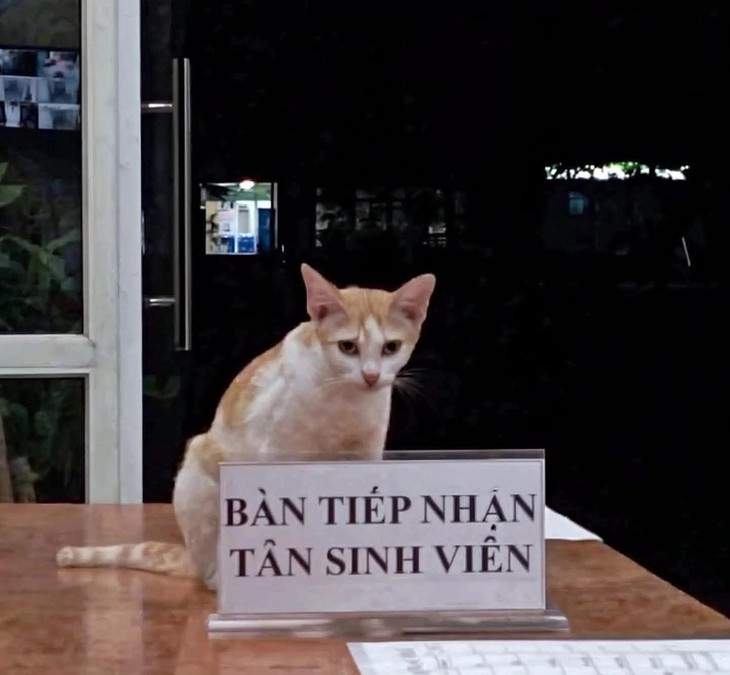 sinh viên - Ảnh 1.