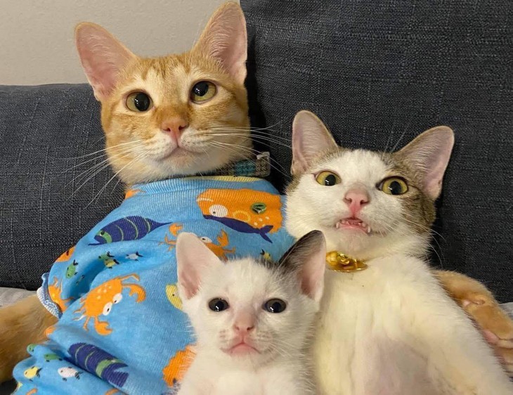 sinh viên - Ảnh 6.