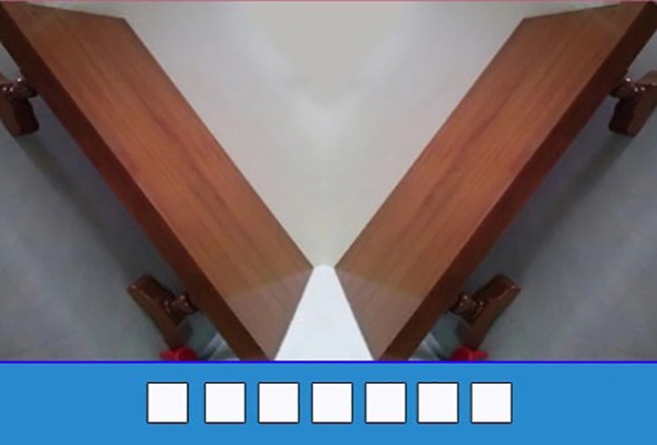 đuổi hình bắt chữ - Ảnh 3.