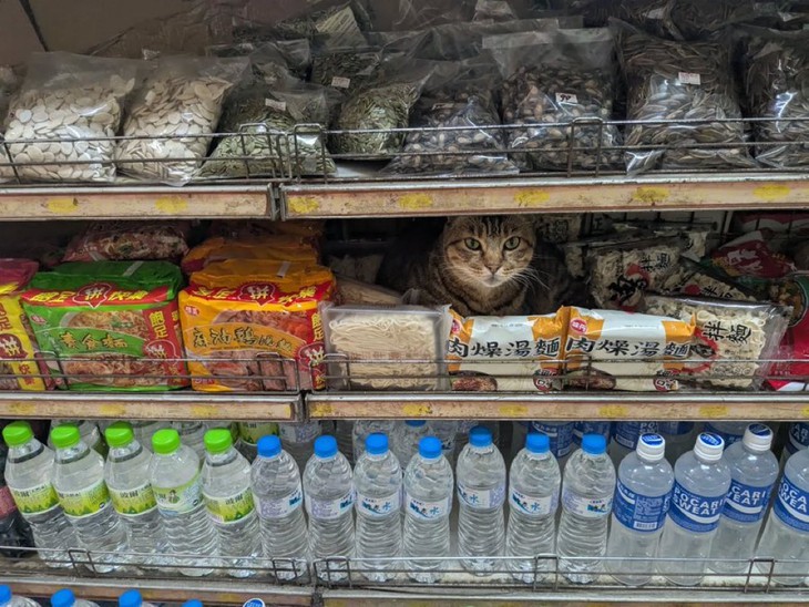 tốt nghiệp THPT - Ảnh 5.