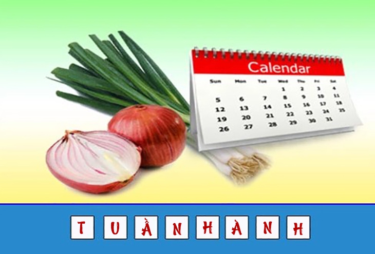 đuổi hình bắt chữ - Ảnh 4.