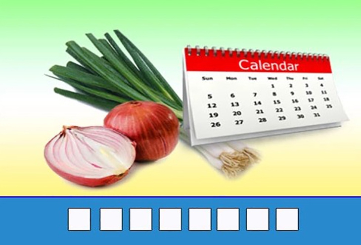 đuổi hình bắt chữ - Ảnh 3.