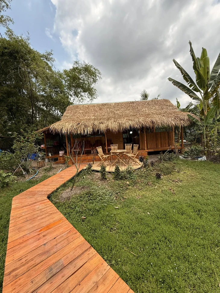 Huỳnh Anh Tuấn - Ảnh 3.