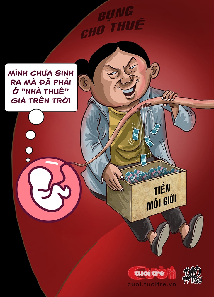 đẻ thuê - Ảnh 1.