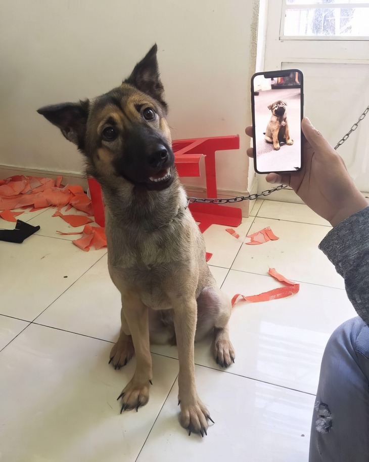 thiên nhiên - Ảnh 5.