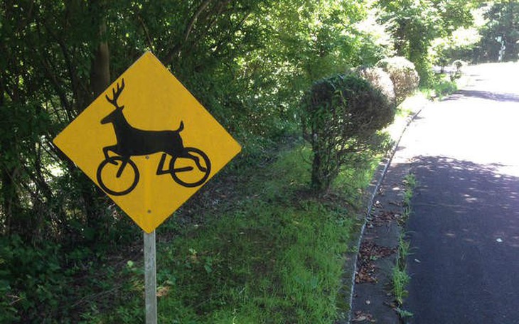 'Mời đoàn mình di chuyển lên núi giùm em' vì sao thành trào lưu? - Ảnh 5.