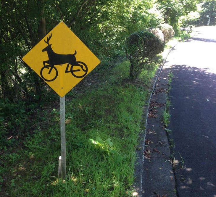 Ảnh vui 18-7: Gần mực thì đen, gần thiên nhiên thì thư giãn - Ảnh 1.