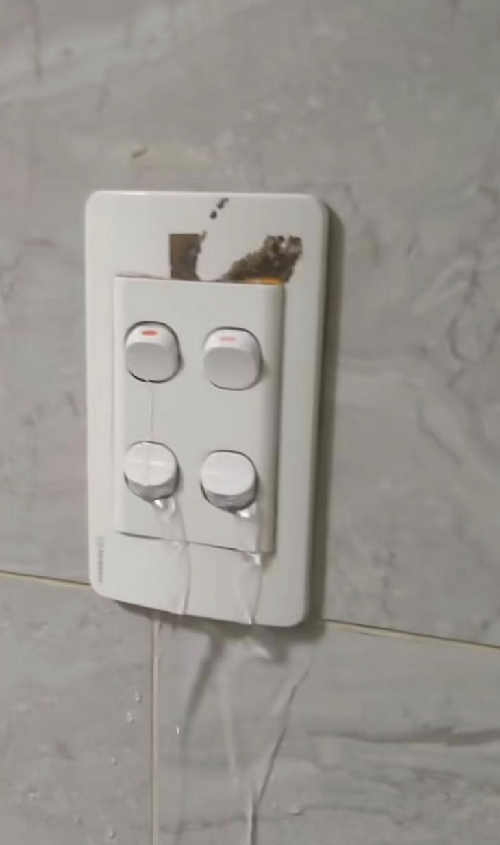 nước trái cây - Ảnh 3.