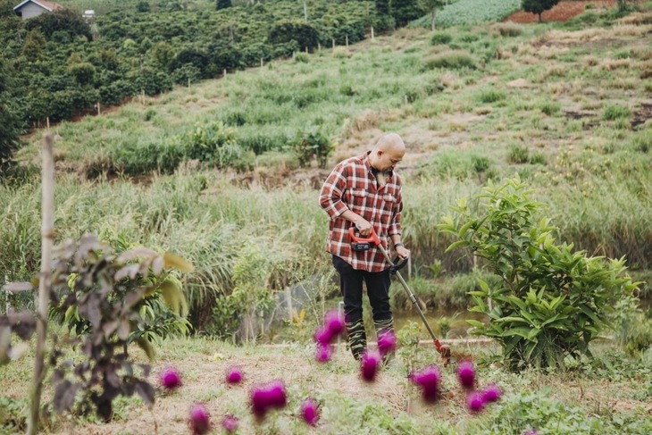 về vườn - Ảnh 2.