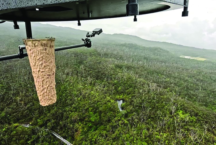 trị muỗi - Ảnh 1.