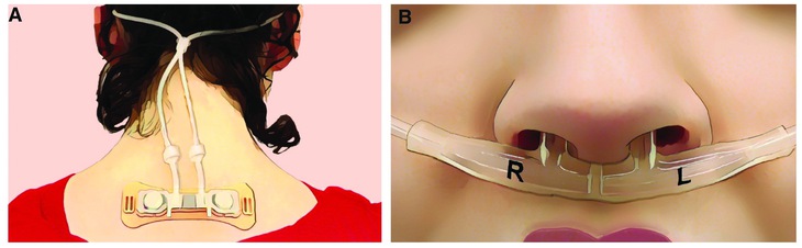 sức khỏe hữu ích - Ảnh 2.