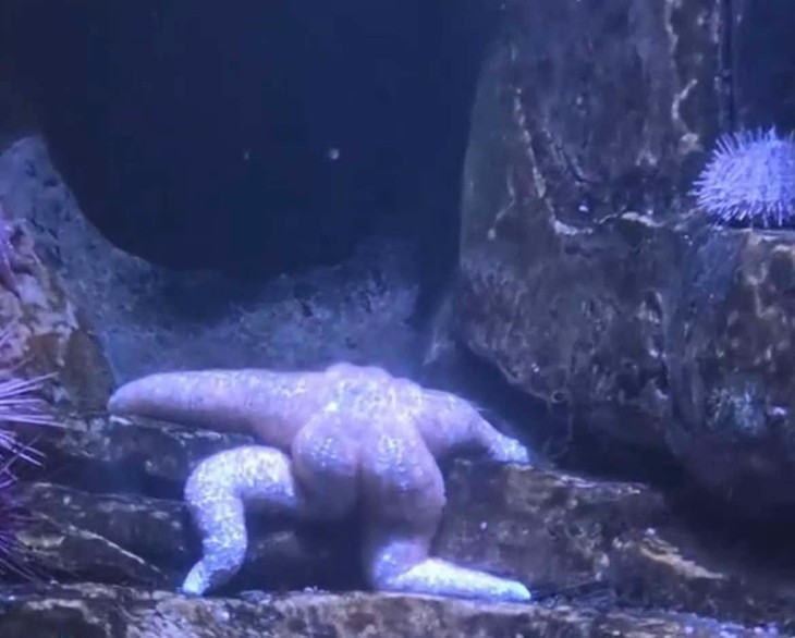 bàn phím - Ảnh 4.