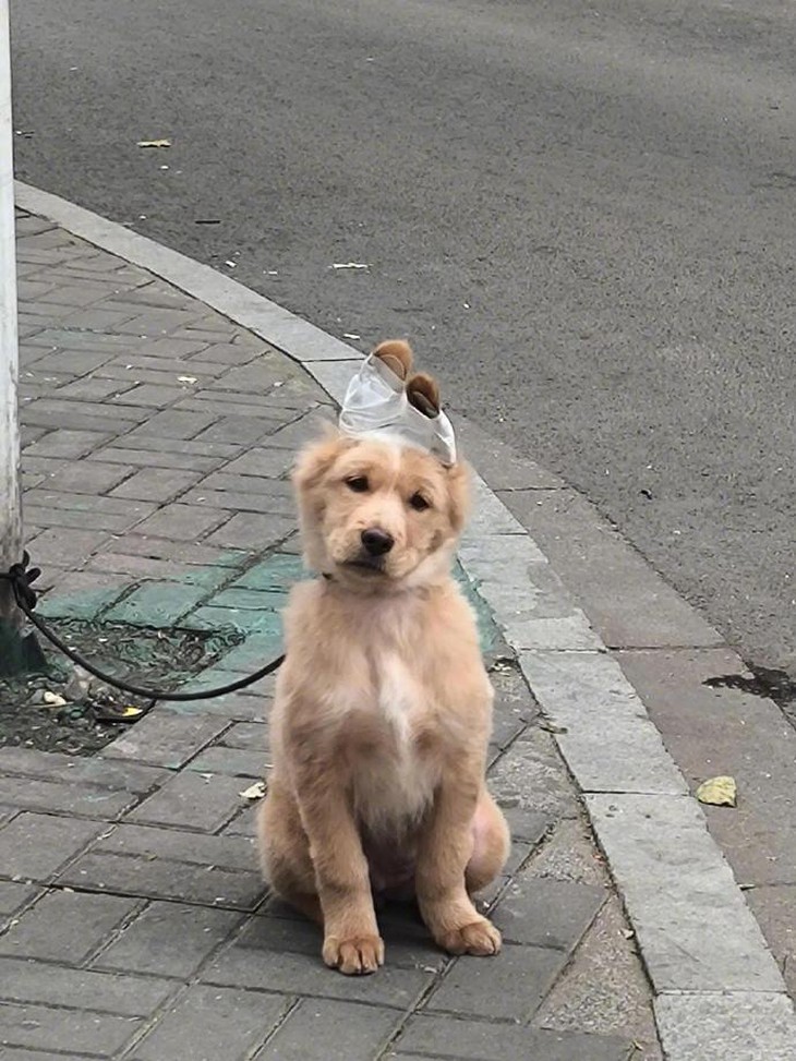 bàn phím - Ảnh 3.