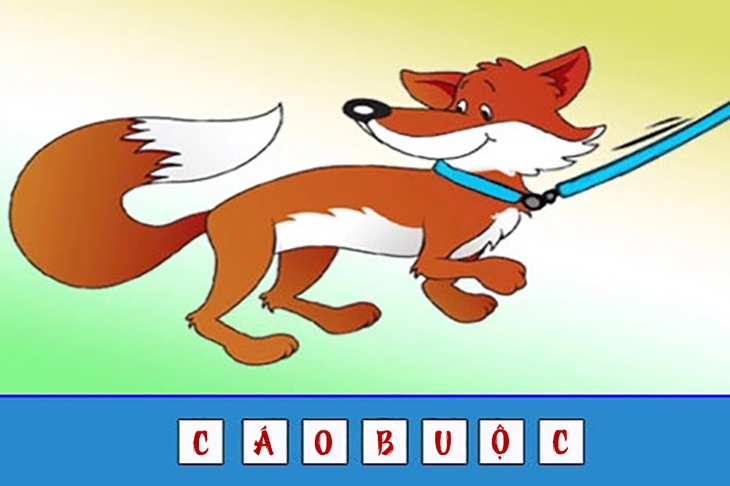 đuổi hình bắt chữ - Ảnh 4.