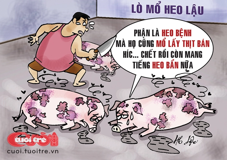 Heo bệnh không muốn bị mang tiếng là heo bẩn - Ảnh 1.