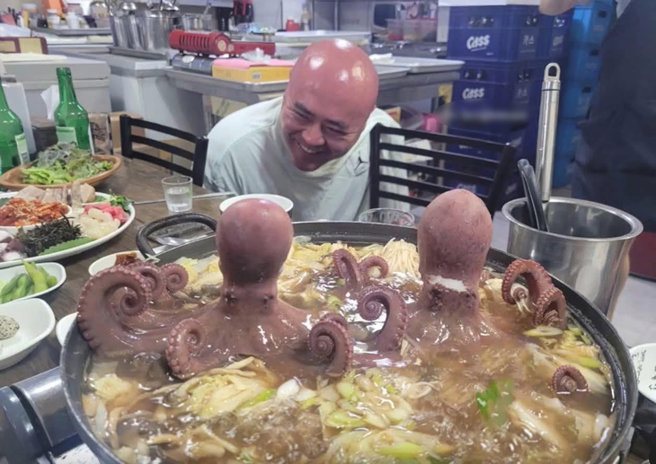 cố nhân - Ảnh 1.