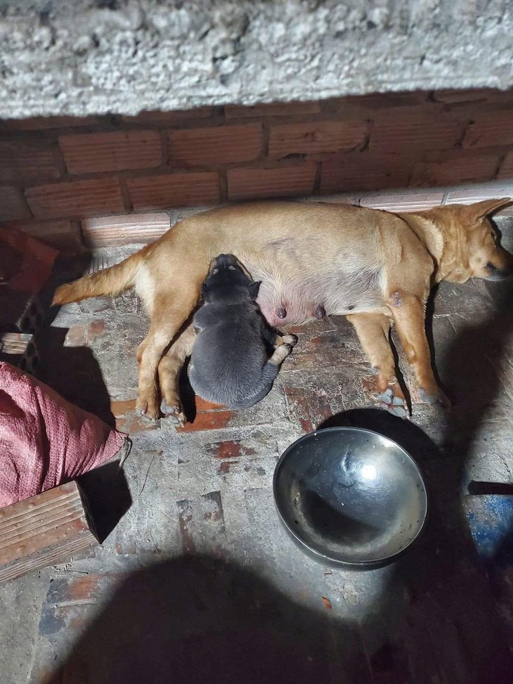 cố nhân - Ảnh 6.