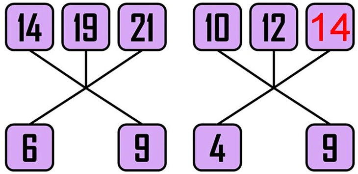 luyện trí não - Ảnh 2.