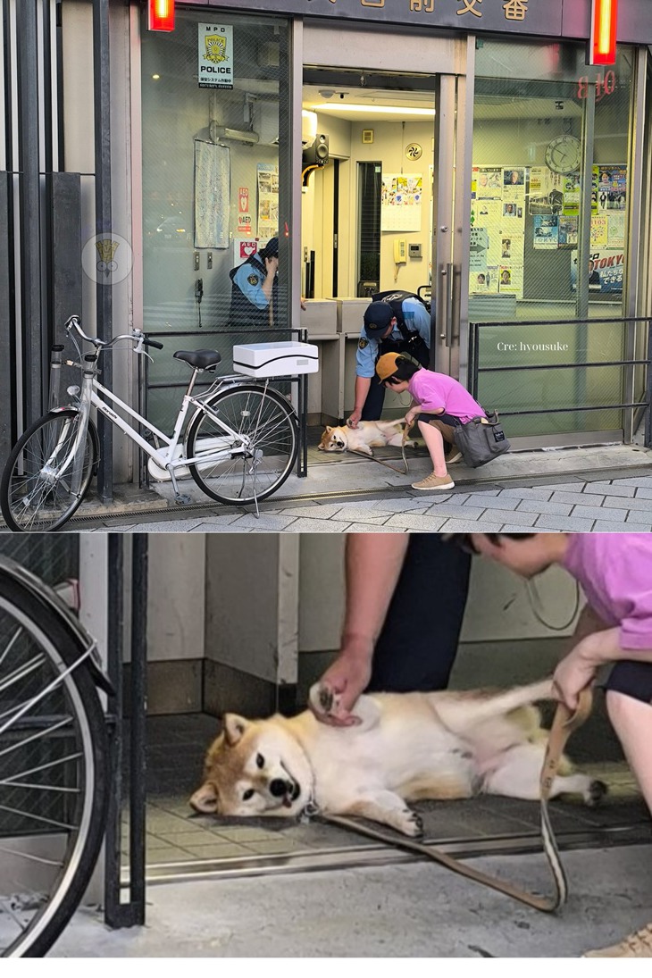 tắt đèn - Ảnh 4.