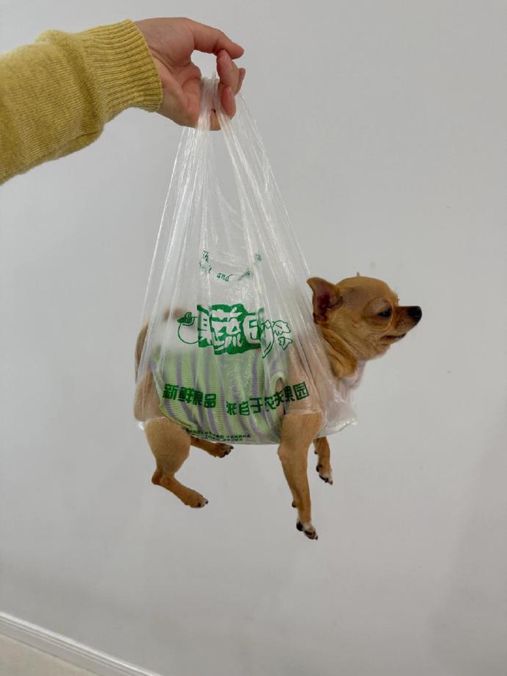 tắt đèn - Ảnh 2.