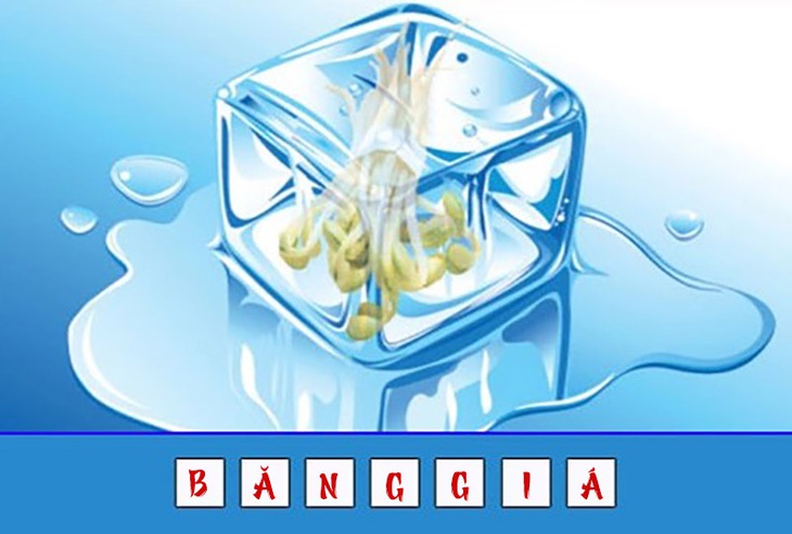 Đuổi hình bắt chữ - Ảnh 4.